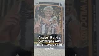 OMG Case hit and gold trophy wildcard