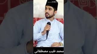 New Naat | Lagiaan Di Laj Nibhani Sarkar Jandy Ne |By Muhammad Tayyab Mustafai