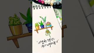 [펜+마커펜드로잉]화분일러스트 #캘리그라피 #일러스트 #그림 #드로잉클래스 #드로잉강좌 #식물일러스트 #화분그리기 #꽃그림 #watercolor #좋은글귀 #마카드로잉 #마카펜