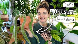 Getting Started With RARE Plants 🪴 TOP 10 Easy Unusual Houseplants