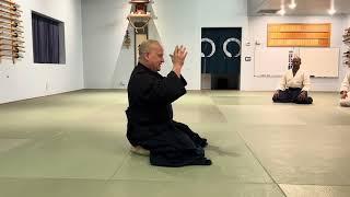 Aikido: A Seminar on Martial/Energetic/Spiritual Concentricity