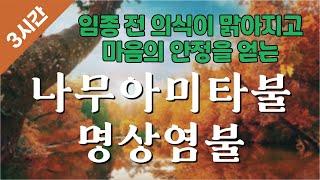 〈3시간〉 [능행스님의 임상기도] 나무아미타불 명상염불