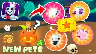 PK XD all new halloween pets || Review + Buying all New halloween pets in PK XD || PK XD Halloween