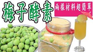 梅子酵素做法｜超簡單只需兩樣材料 就可以做成梅子酵素