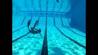 Immersion Freediving PFI Intermediate Course March 22