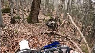 Grizzly bear attacks dirt bikers