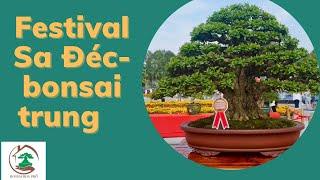 Festival hoa kiểng Sa Đéc (Bonsai Trung)