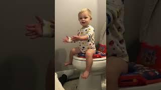 POTTY TRAINING METHOD  FUN ON TOILET SEAT