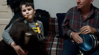 Amazing Bagpiper