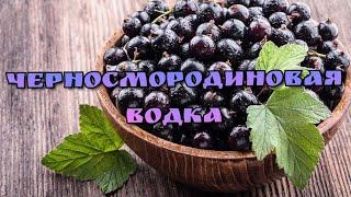 Экстрактор Сокслета. Смородиновая водка