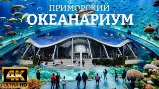 ПРИМОРСКИЙ ОКЕАНАРИУМ 2024 ️ самый большой океанариум в России и один из крупнейших в мире.