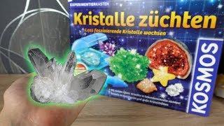 Kristalle selber züchten! - Funktioniert das?