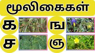 உயிர்மெய் எழுத்துக்கள் ||க ங ச ஞ ட ண த ந ப ம ய ர ல வ ழ ள ற ன||Uyir Mei Ezhuthukkal|| Tamil Alphabets