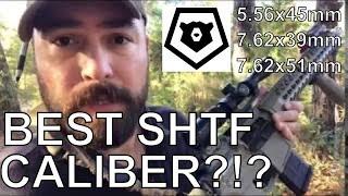 The BEST SHTF Caliber for TEOTWAWKI WROL Minuteman Militia