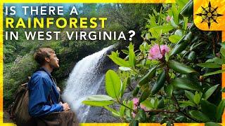 Is There A Rainforest In West Virginia?