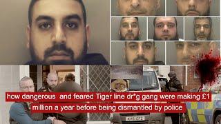 how dangerous  and feared Tiger line dr*g gang were making £1 million a year before being dismantled