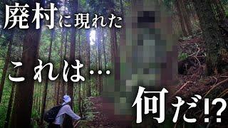 廃村に残された何か…何百年前からあったのか…旧石鎚村小松町の集落を訪れて！