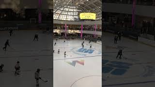 Glad to watch kid’s ice hockey at the West Edmonton Mall, Alberta, Canada. Oilers in making.