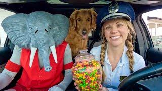 Police Surprises Elephant & Puppy with Car Ride Chase