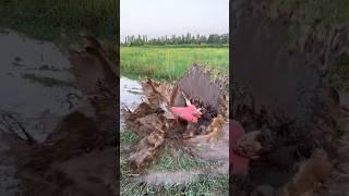 Самые ГРЯЗНЫЕ покатушки на Авантис Хантер 250