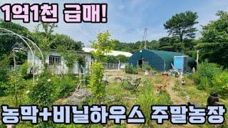 [계약완료][1억1천]농막+창고(비닐하우스) 주말농장 강력추천! !/양평 전원주택/양평 전원주택 급매/양평 부동산/주말주택/ 매물번호 : 19619