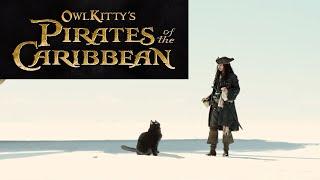 Pirates of the Caribbean - starring my cat OwlKitty