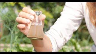 Water analysis in laboratory Part-1  #10x_simple