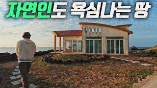 [오지:객6-비양도] 5년째 찾지 못한 학생들, 중매 첫날 프로포즈 받은 사연, 불편한 사돈지간 제주 한달 살이?