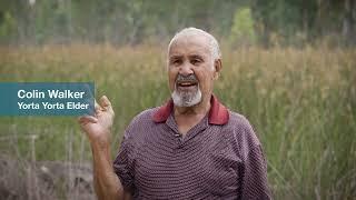 Turtles and traditional owners in the Barmah-Millewa Forest