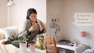 6 Tips | 在家工作学习如何保持高效率 Working&Studying from Home