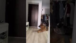 На 5 мин ушла , а эмоций ,когда вернулась ️Мы в отпуск!️