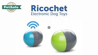 PetSafe® Ricochet Electronic Pet Toy - EN