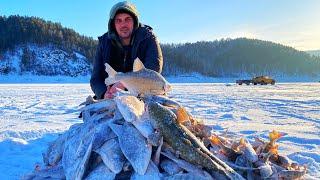 ТЫСЯЧНОЕ СТАДО СОБРАЛИ ПОД ЛУНКАМИ! НАЛОВИЛИ ДВА МЕШКА! КУДА НАМ СТОЛЬКО! рыбалка на ЧУПА ЧУПС