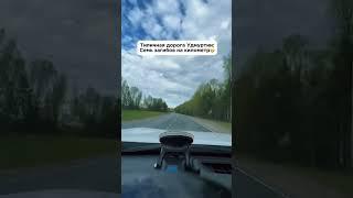 Типичная дорога в Удмуртии