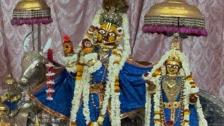 Shri Govind Dev Ji ki Gwal Jhanki श्री गोविन्द देव जी की ग्वाल आरती #14_June_2025 #saturday #love