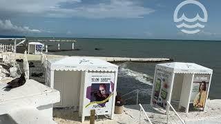 17.06.2025. Погода в Сочи в июне. Смотри на Чёрное море каждый день.