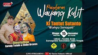 Live Wayang Kulit KI TANTUT SUTANTO (Wahyu Senopati) Di Punden Arum,Karangawen,Demak