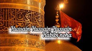 Hussain Hussain hussain habibi noha by Muhammad janim..