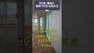 선단동 3룸 리모델링 빌라임대 보증금1천만 월47만원 발코니2 즉시입주 #포천직방부동산 #선단동빌라 #선단동원투룸