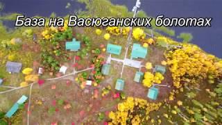 Окунь 1,5кг. Рыбалка на вертолетах, таёжные озёра Томской области