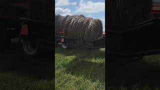 Полуприцеп транспортировки рулонов самосвальный ПТР-12С #казагроэксперт #farming #сельхозтехника