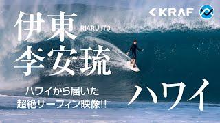 【ハワイ】伊東李安琉から届いたフリーサーフィン映像＆VANSパイプマスターズ／2023-2024 in HAWAII　#surfing #サーフィン