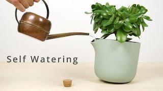 Natural Balance - The Ultimate Self Watering Flowerpot, Now On Kickstarter - Studio Lorier