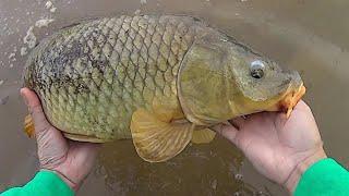 Keep It Simple Carp Fishing | Easy Method For Catching Carp