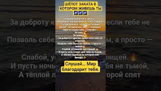 МИР БЛАГОДАРИТ ТЕБЯ#осознанность #просветление #душа #вселенная #успех #исцеление #счастье #сила