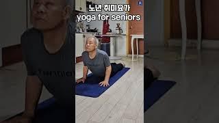 노년 취미요가 ( 97 ) #yoga for seniors #shorts