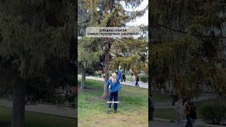 Тг: daria.village.life #загородныйдом #сад #огород #загороднаяжизнь