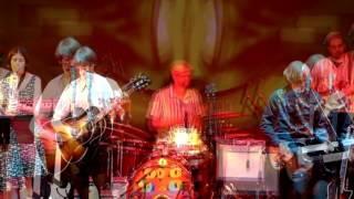 Fractal Cat (and Friends) Cover of “I Am the Walrus” by the Beatles