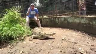 UNC professor & video journalist Jim Kitchen gets up close and personal with a Nile crocodile