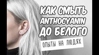 КАК СМЫТЬ ANTHOCYANIN / ОСВЕТЛЕНИЕ ДО БЕЛОГО /  КАК ОСВЕТЛИТЬСЯ САМОЙ